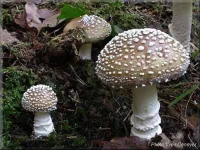 热点生活 第5页